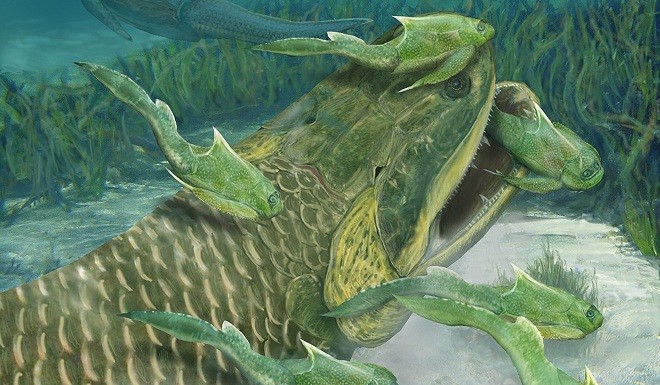 Ảnh minh họa loài "thủy quái" rhizodont thời tiền sử