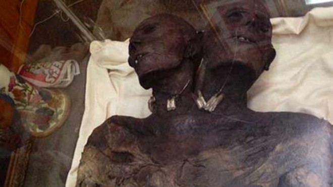 Thi thể người khổng lồ Kap Dwa được lưu giữ ở viện bảo tàng