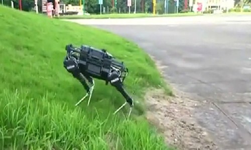 Chó robot Trung Quốc giá 30.000 USD mỗi con