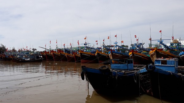 Bão số 12 tăng cấp, cách bờ biển Khánh Hòa-Ninh Thuận khoảng 400km