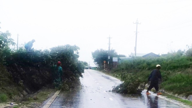 Đường Đông Trường Sơn khu vực huyện Krông Pa, Gia Lai có nhiều cây bị gió quật đổ chắn ngang