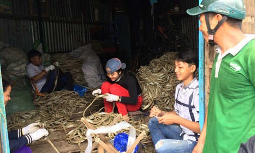 Từ trưa hôm qua, cuộc sống của người dân khu phố Nguyễn Công Trứ (nơi dân được di dời tránh bão 16) đã trở lại bình thường