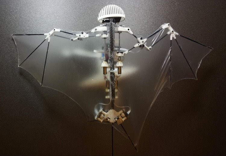 Thiết kế drone lấy cảm hứng từ dơi giúp thiết bị có thể bay lượn dễ dàng và không cần sự điều khiển của con người. (Ảnh: Science Robotics).