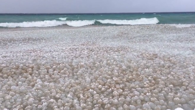 Kỳ ảo, hàng nghìn 'quả bóng băng' trôi nổi trên mặt hồ Mỹ