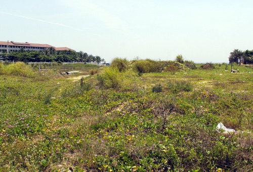 Lô đất ven biển ở Đà Nẵng được giao cho một chủ dự án không có thật. Ảnh: N.Đ