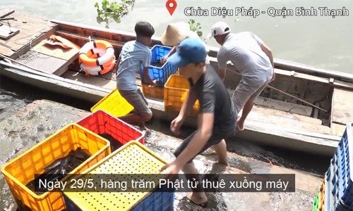 Người Sài Gòn mang cá ra giữa sông phóng sinh trong lễ Phật Đản