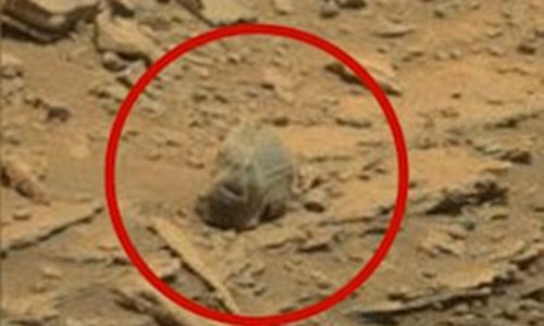 Vật thể lạ nghi hộp sọ người ngoài hành tinh tìm thấy trên sao Hỏa