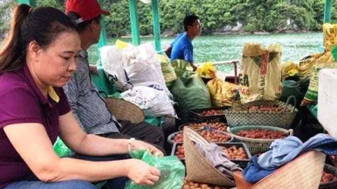 Câu lạc bộ tình nguyện "trái tim Việt" ở Hải Phòng ra xã Việt Hải thu mua vải giúp người dân. Ảnh: CTV