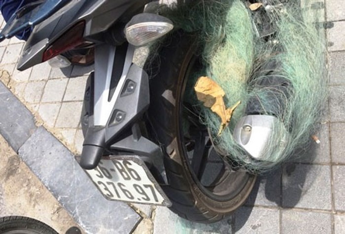 Một xe vi phạm bị dính lưới của CSGT Công an TP Thanh Hóa, tỉnh Thanh Hóa Ảnh: THANH TUẤN