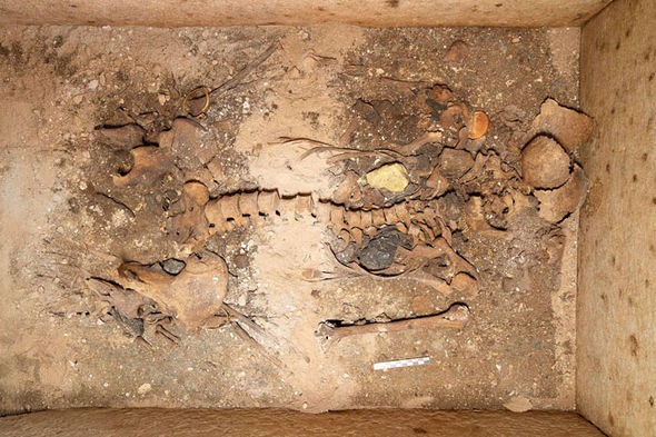 Lăng mộ gần như nguyên vẹn của một người phụ nữ quý tộc cổ đại. Ảnh: REUTERS 