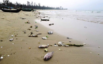 Sự cố môi trường biển gây tổn thất nặng nề cho ngư dân và đồng bào 4 tỉnh miền Trung