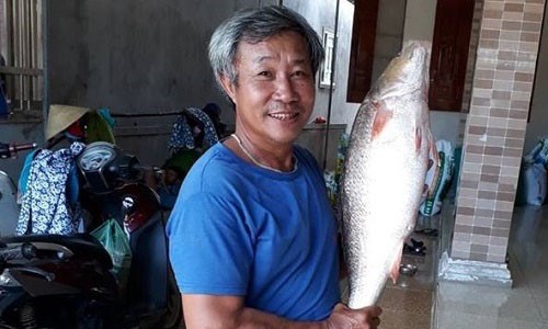 Nguyễn Quang Thạnh vui mừng bắt được con cá sủ vàng nặng 5,6kg