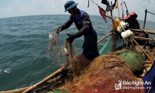 Ngư dân Quỳnh Long (Quỳnh Lưu) ra biển khai thác cá đục. Ảnh: Việt Hùng.