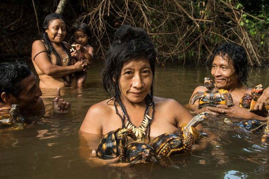 Phụ nữ bộ lạc Awá tắm sông cùng những con rùa họ nuôi. Ảnh: NATIONAL GEOGRAPHIC