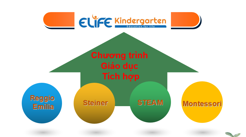 E-Life Kindergarten: Chương trình dạy học phân hóa, giáo dục sáng tạo