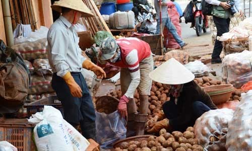 Khoai tây Trung Quốc được "khoác áo mới" để biến thành khoai Đà Lạt, bán tại các chợ dân sinh. Ảnh: Quốc Dũng