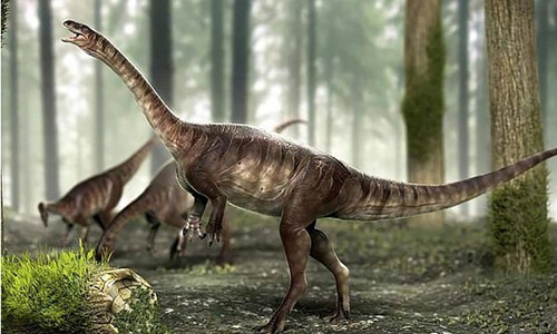 Các nhà khoa học vừa phát hiện ra hóa thạch của loài khủng long cổ dài ăn cỏ cổ nhất tại Brazil.