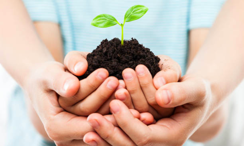 Đầu tư chăm sóc ngay từ khi con còn là “hạt giống” mang đến sự phát triển bền vững không chỉ cho con trẻ mà cho toàn xã hội.