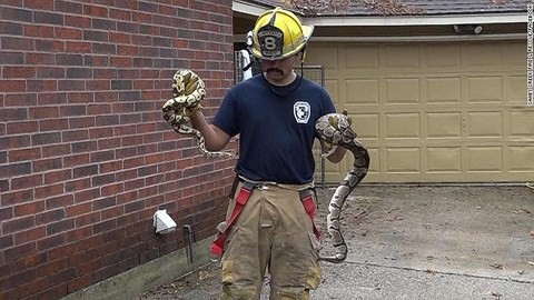 Giải cứu nhiều con rắn bên trong ngôi nhà cháy kinh hoàng