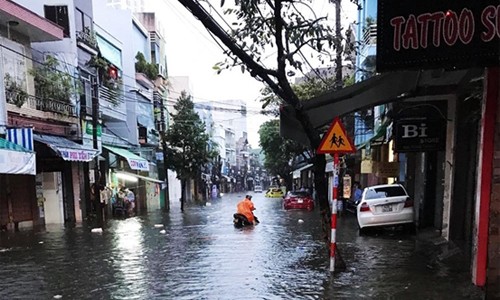 Sau mưa lớn, ngập úng Đà Nẵng đảm bảo an toàn vệ sinh thực phẩm và vệ sinh môi trường