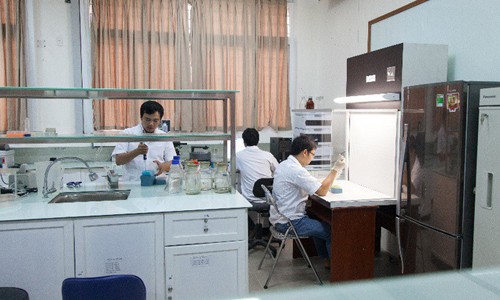 Các nhà khoa học làm việc tại phòng thí nghiệm hiện đại tại ĐH Duy Tân