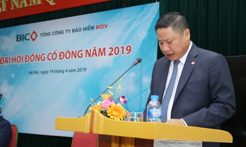 Ông Trần Hoài An, UV HĐQT, Tổng Giám đốc BIC, báo cáo Đại hội về kết quả kinh doanh của BIC năm 2018