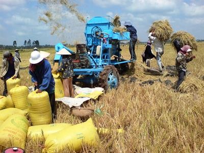 Duy trì sản lượng gạo xuất khẩu trung bình 6 - 7 triệu tấn mỗi năm, Việt Nam đã vươn lên vị trí nước xuất khẩu gạo lớn thứ 2 trên thế giới 
