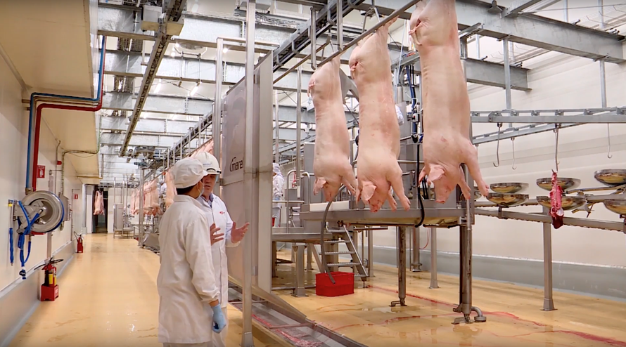 Tổ hợp nhà máy chăn nuôi – chế biến thịt lợn mát MEATDeli 