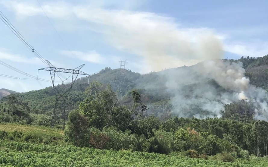 Hình ảnh cháy rừng gây nguy hiểm vận hành đường dây 500 kV