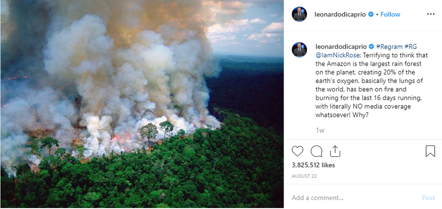 Status kêu gọi ủng hộ quỹ khôi phục rừng Amazon của nam diễn viên Leonardo DiCaprio nhận được sự hưởng ứng từ hàng triệu người.