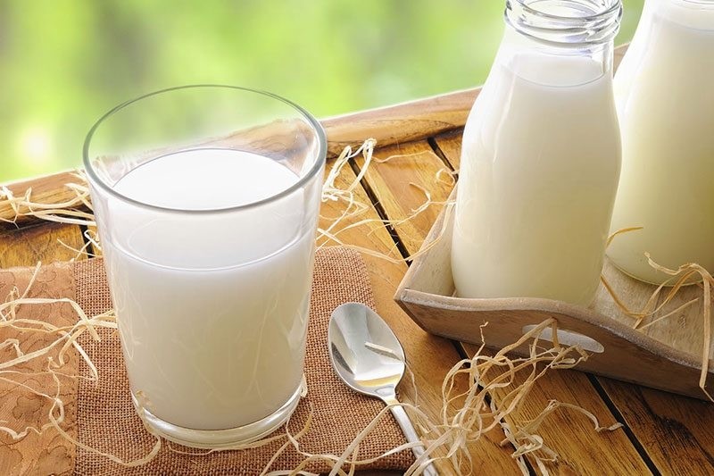 Kiểm tra vệ sinh của sữa và bệnh do sữa gây nên