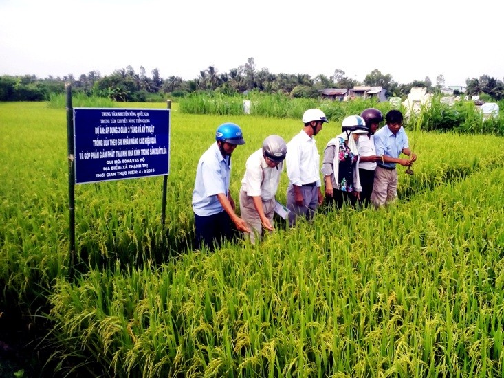 Áp dụng 3 giảm, 3 tăng và kỹ thuật trồng lúa SRI nhằm nâng cao hiệu quả và giảm phát thải khí nhà kính trong sản xuất lúa 