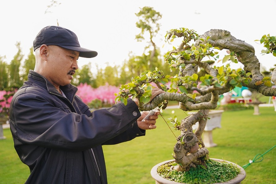 Cư dân Vinhomes thích thú tìm hiểu các tác phẩm bonsai được trưng bày