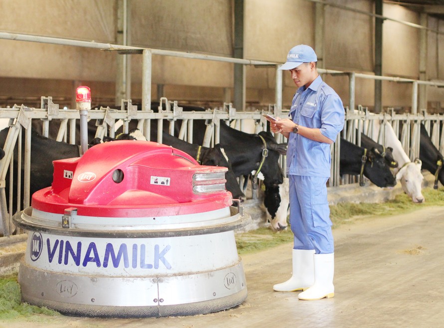 Anh Trần I Giôn hiện đang công tác tại Trang trại bò sữa Tây Ninh của Vinamilk