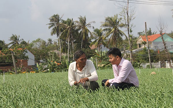 Ông Dương Văn Nhiều ở xã An Hả, huyện Lý Sơn (Quảng Ngãi) chia sẻ về mô hình trồng tỏi với cán bộ ngân hàng; Ảnh : Đông Dư 