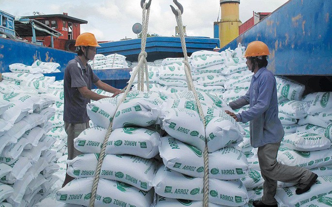 Bộ Công Thương triển khai nhiều giải pháp hỗ trợ doanh nghiệp xuất khẩu gạo sang EU