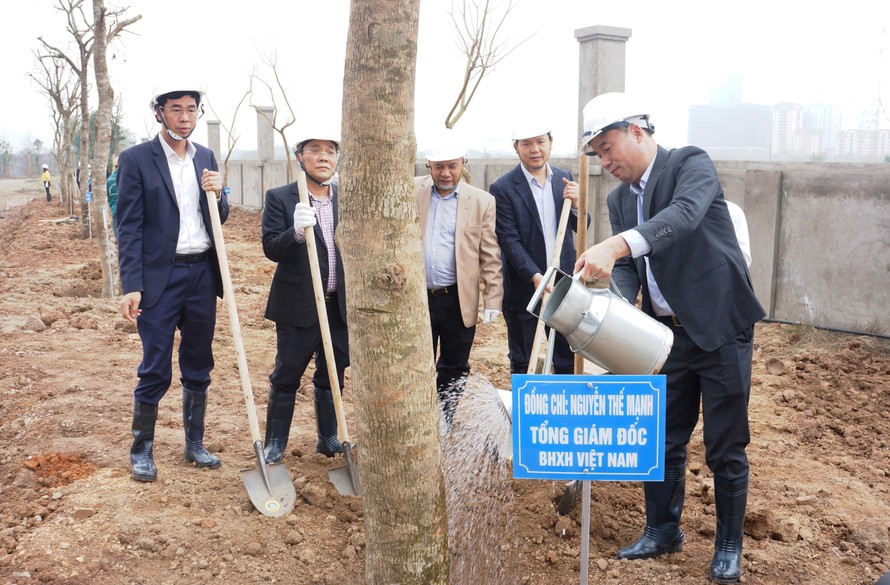 Tổng Giám đốc BHXH Việt Nam Nguyễn Thế Mạnh (phải) cùng các Phó Tổng Giám đốc và lãnh đạo các đơn vị tham gia trồng cây.