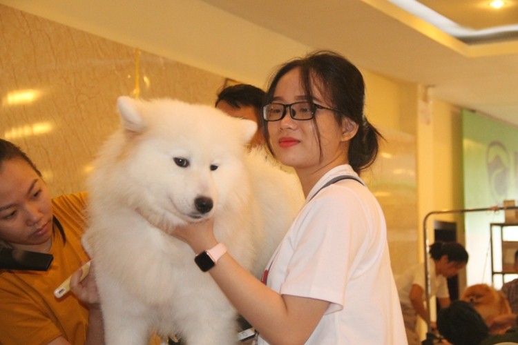 Hoa hậu Thái Lan dẫn thú cưng đến Việt Nam dự thi Hoa hậu chó 