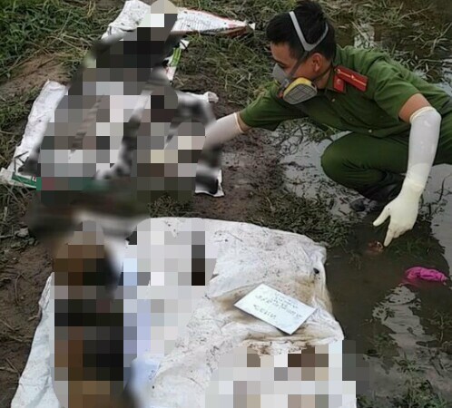 Phát hiện 4 bộ xương người trồi lên ở khu đất gần sông Sài Gòn 
