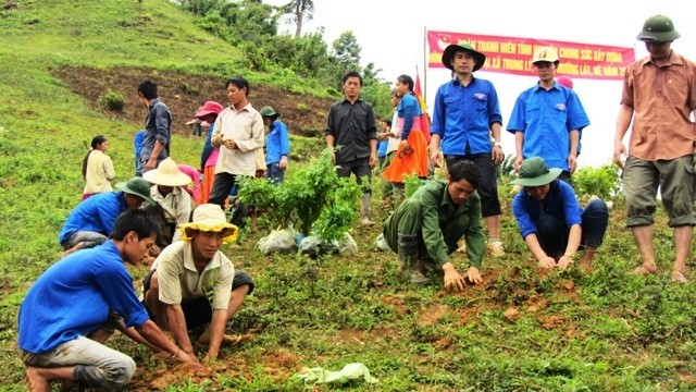 Thanh niên tình nguyện hỗ trợ bà con đồng bào dân tộc trồng rừng (ảnh ML)