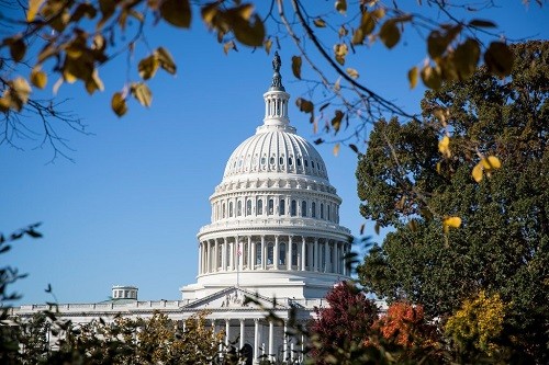 Rất khó phân biệt rõ ràng Thượng viện hay Hạ viện Mỹ có nhiều quyền lực hơn. Ảnh: NYTimes