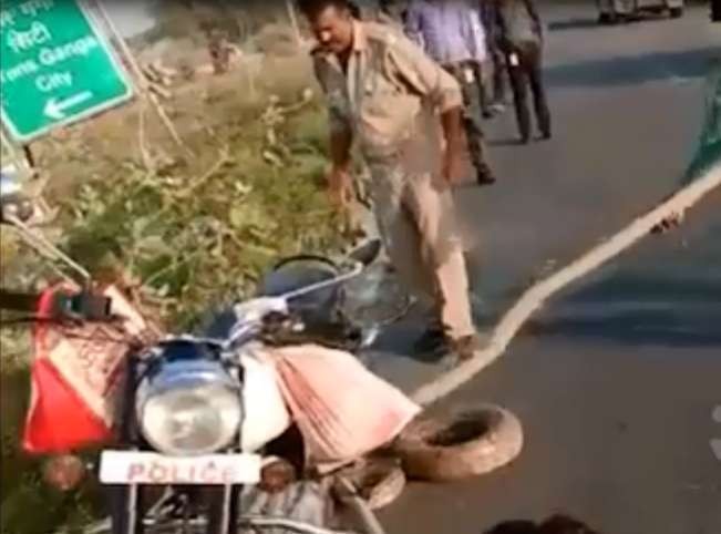 Trăn khủng liên tiếp chồm lên tấn công cảnh sát ở Ấn Độ