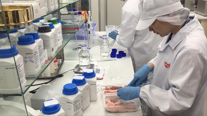 Việt Nam đang nỗ lực triển khai nghiên cứu, tìm giải pháp sản xuất vaccine dịch tả lợn châu Phi ảnh: Bình Phương
