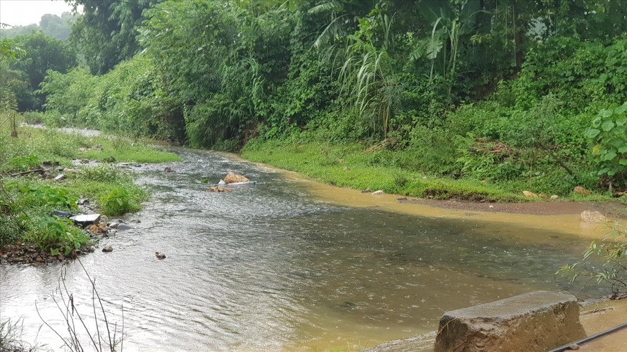 Ô nhiễm nguồn nước đầu nguồn sông Đà (ảnh lớn), khiến cá chết hàng loạt (ảnh nhỏ)