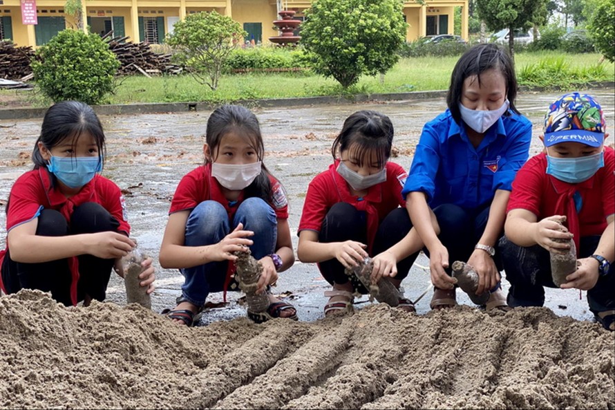 Học sinh trường Tiểu học Bá Xuyên đong cát vào chai làm thành “gạch” xây nhà vệ sinh Ảnh: CTV