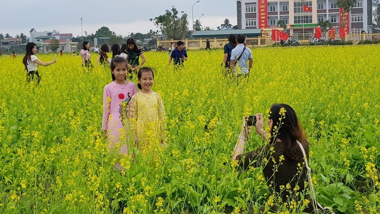 Rực rỡ cánh đồng hoa cải giữa lòng thành phố Thanh Hóa