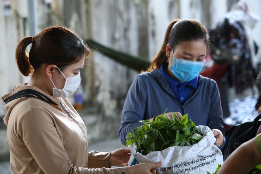 Các đoàn viên, giáo viên Trường mầm non Quảng Kim (Quảng Trạch - Quảng Bình) hỗ trợ rau củ quả cho cán bộ chiến sĩ làm nhiệm vụ tại chốt kiểm soát dịch bệnh Covid -19 ở Quảng Đông (Quảng Trạch - Quảng Bình).