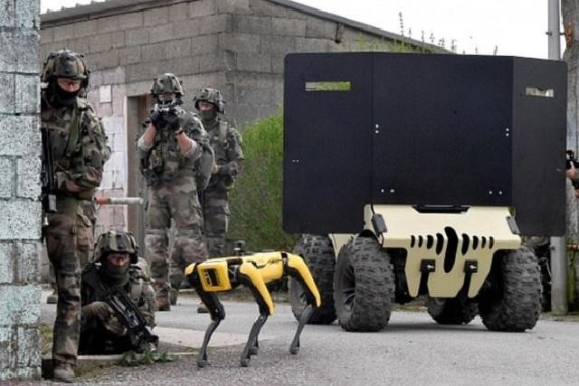 Chó robot được huấn luyện chiến đấu cùng với học viên quân sự Pháp.