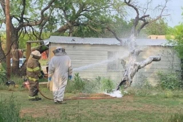 Nhân viên cứu hỏa tại ngôi nhà xảy ra vụ ong đốt chết người ở Breckenridge, Texas. 