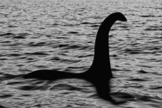 Một bức ảnh nổi tiếng về quái vật hồ Loch Ness.